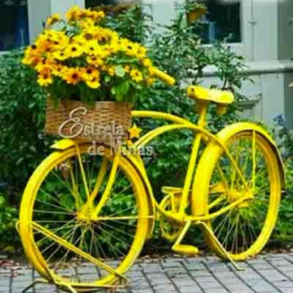 brazlink